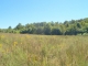 20.94 AC Rickman Road Livingston, TN 38570 - Image 14747891