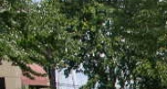 175 Mt. Vernon Highway, N.E. Atlanta, GA 30328 - Image 14765093