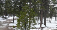 11960 Wellwood Terrace Peyton, CO 80831 - Image 14781034