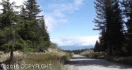 57560 Eagleaerie Avenue Homer, AK 99603 - Image 14793571