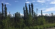 10645 S Lewis Loop Wasilla, AK 99654 - Image 14808153