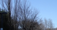 7 Park St Bath, ME 04530 - Image 14811379