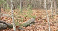61 B State Road Bath, ME 04530 - Image 14811383