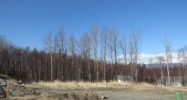 9099 E Silver Spring Circle Palmer, AK 99645 - Image 14814409