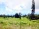 43-2014 KAAPAHU RD Honokaa, HI 96727 - Image 14828145