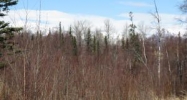 9289 E Spring Creek Circle Palmer, AK 99645 - Image 14832359