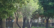 9431 SW 4 ST # 206 Miami, FL 33174 - Image 14836112