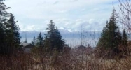701 Daybreeze Court Homer, AK 99603 - Image 14853984