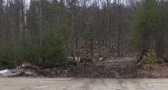 55 White Rock Hill Rd Bow, NH 03304 - Image 14858001