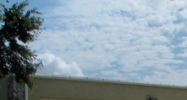 600 Mt Vernon Oldsmar, FL 34677 - Image 14858164