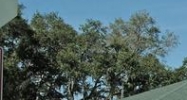 200 Emerald Bay Drive Oldsmar, FL 34677 - Image 14858167