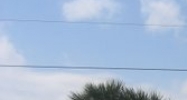 3970 Tampa Rd Oldsmar, FL 34677 - Image 14858172