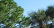 4023-4035 Tampa Road Oldsmar, FL 34677 - Image 14858174
