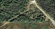 NW CORNER OF PINE & FOREST RD Oldsmar, FL 34677 - Image 14859057