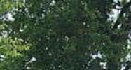 2930 Vineville Avenue Macon, GA 31204 - Image 14859434