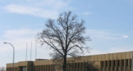 11177 E. Eight Mile Road Warren, MI 48089 - Image 14859492