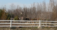 40805 Grand River Ave Novi, MI 48375 - Image 14866259