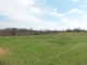 43.79 Ac. Mate Allen Rd. Gainesboro, TN 38562 - Image 14866337