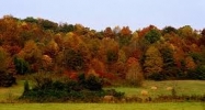Benchfield Road Sylva, NC 28779 - Image 14871022
