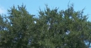 5747 38th Ave. N. Saint Petersburg, FL 33710 - Image 14872290