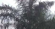 2557 JARDIN LN Fort Lauderdale, FL 33327 - Image 14872657