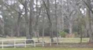 Hwy 22 Ponchatoula, LA 70454 - Image 14872969