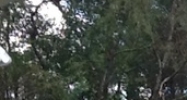 144 Barringer Rd Ponchatoula, LA 70454 - Image 14872970