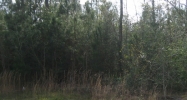 Strader Road Ponchatoula, LA 70454 - Image 14872978