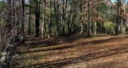2 Brewster Rd Derry, NH 03038 - Image 14881166