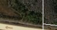 9.83 Acres State Road 54 Odessa, FL 33556 - Image 14887732