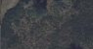 0 Starkey Blvd. Odessa, FL 33556 - Image 14887934