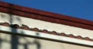 5003 S Tamarus St Las Vegas, NV 89119 - Image 14891397