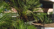 4440 S. Maryland Parkway Las Vegas, NV 89119 - Image 14891402