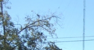 211 Hwy 21 Madisonville, LA 70447 - Image 14891414
