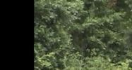 Hwy 22 Madisonville, LA 70447 - Image 14891420