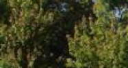 156 Commerce St. Williston, VT 05495 - Image 14897585
