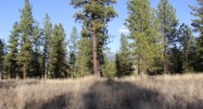 Lot 10 Timber Ridge Drive New Meadows, ID 83654 - Image 14904574