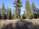 Lot 10 Timber Ridge Drive New Meadows, ID 83654 - Image 14908656