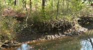 Daugherty Rd. Ocoee, TN 37361 - Image 14908715