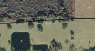15102 RACE TRACK RD Odessa, FL 33556 - Image 14913481