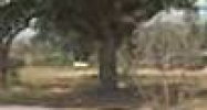 1917 Mirabeau Ave. New Orleans, LA 70122 - Image 14927866