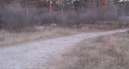 454 Wadleigh Falls Road Newmarket, NH 03857 - Image 14928181