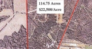 Mount Pleasant - Port Hickey Road Zachary, LA 70791 - Image 14928648