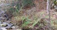 3962 Birds Creek Road Sevierville, TN 37876 - Image 14929607