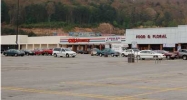 10161 DAYTON PIKE Soddy Daisy, TN 37379 - Image 14930038