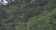 7315 Hwy 311 Sellersburg, IN 47172 - Image 14930711