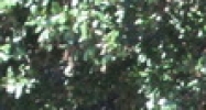 3060 Teddy Dr Baton Rouge, LA 70836 - Image 14931048