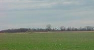 0 Templin Avenue Bardstown, KY 40004 - Image 14931624