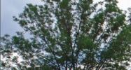 7615-23 plaza court Willowbrook, IL 60527 - Image 14931886