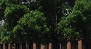 600-50 Executive Dr & 7624-70 Plaza Ct Willowbrook, IL 60527 - Image 14931887